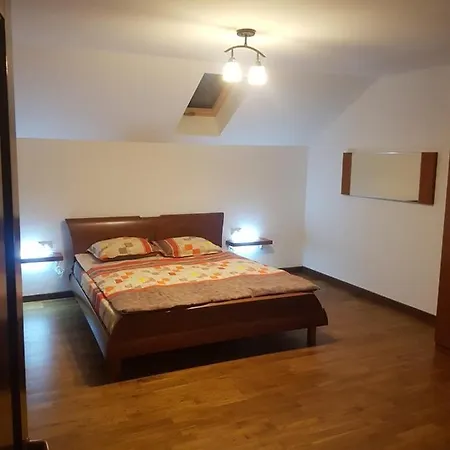 Guest house Pensiunea Zorile Tarcaului Schitu-Tarcau