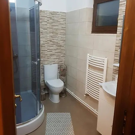 Guest house Pensiunea Zorile Tarcaului *