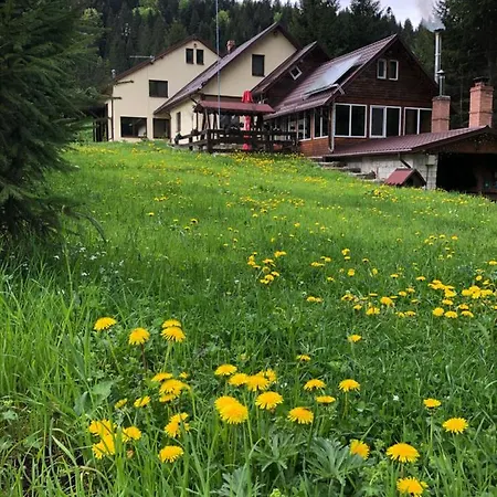 Guest house Pensiunea Zorile Tarcaului