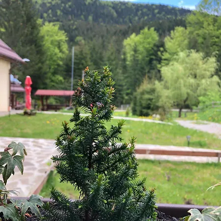 Pensiunea Zorile Tarcaului Guest house